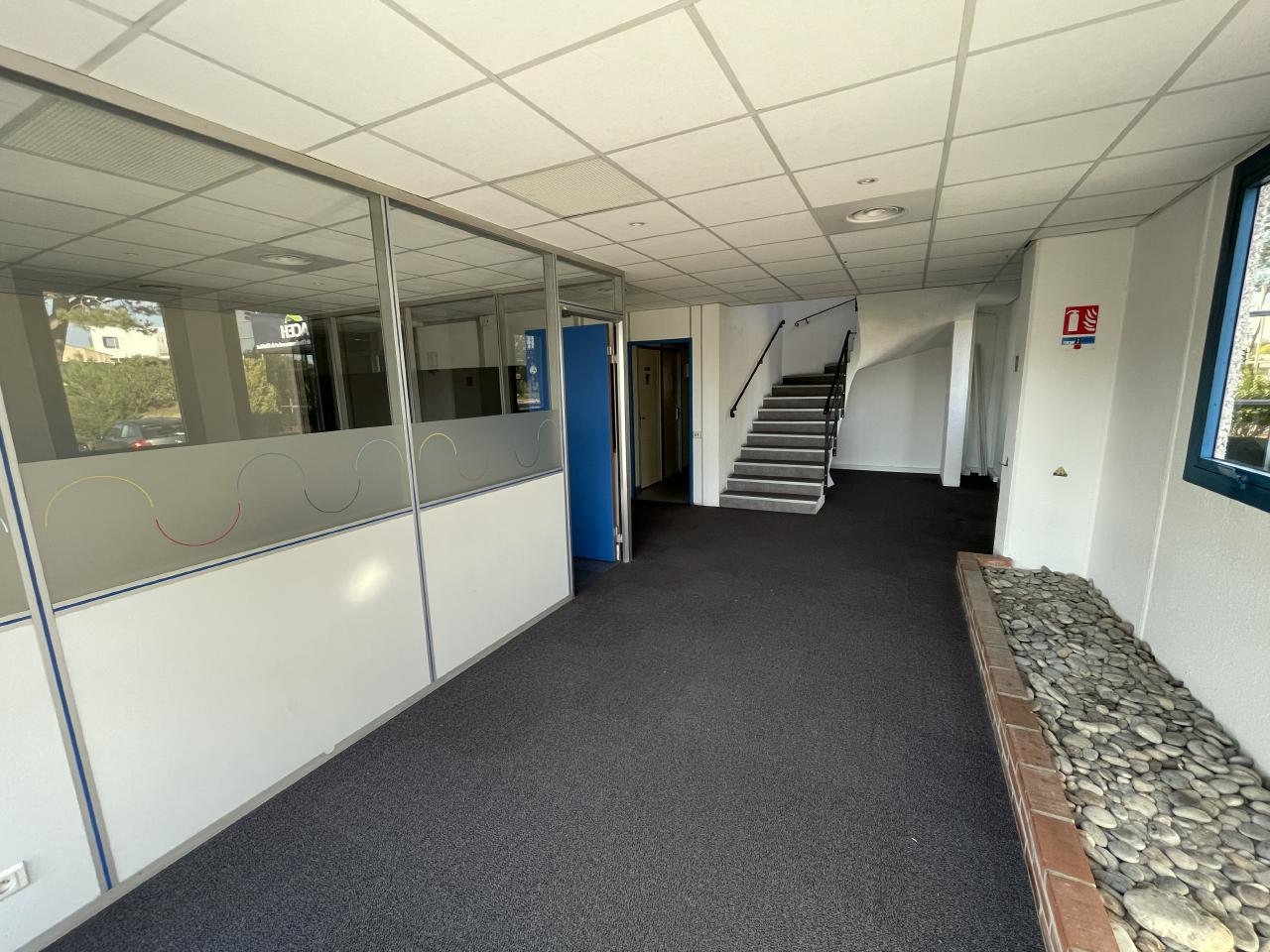 Local d'activité Antibes 481m² Location local d'activité Antibes Alpes-Maritimes OLACT2314472 9